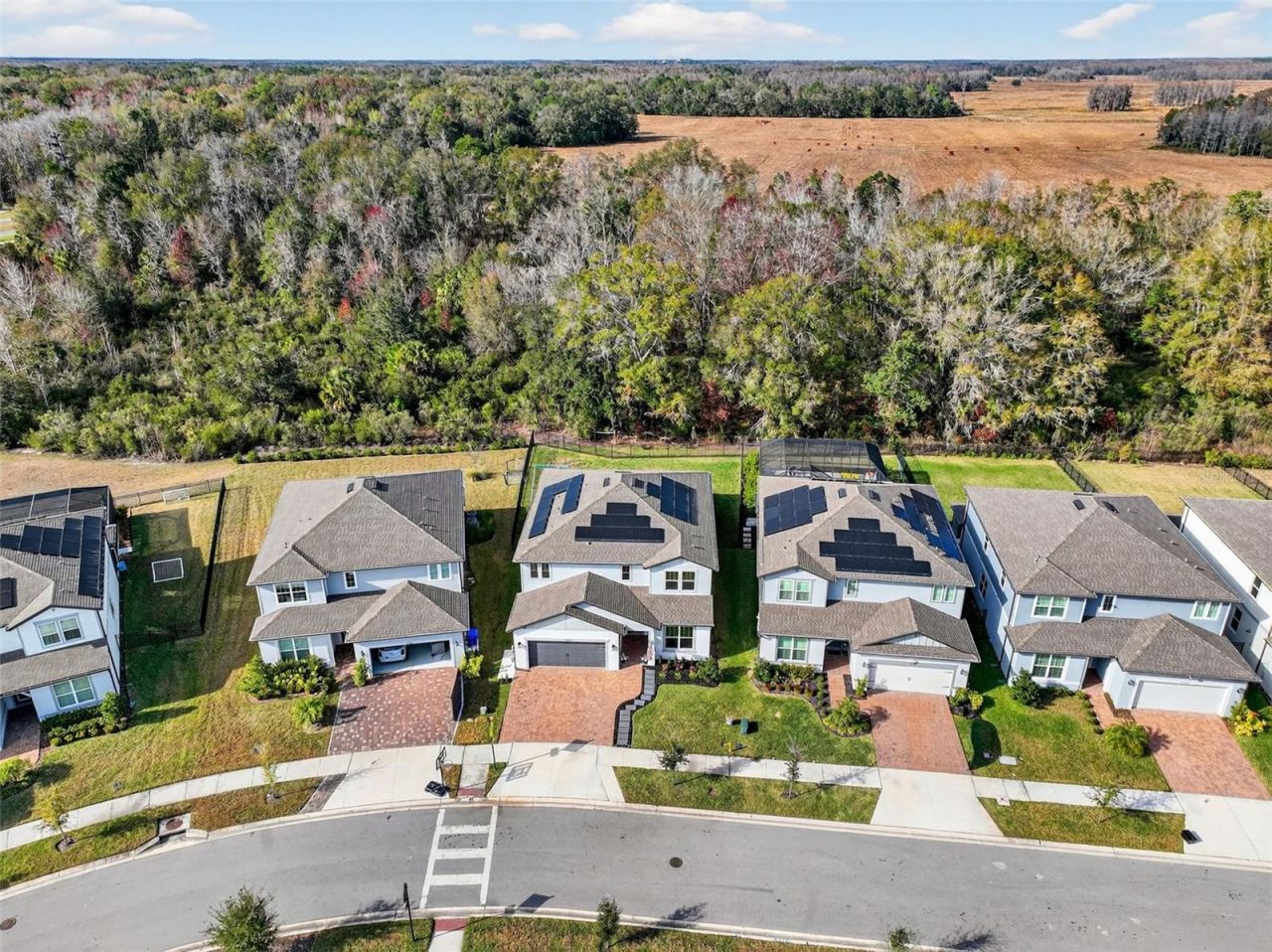 17731 Ramble On Way, Land O Lakes, FL 34638 Photo