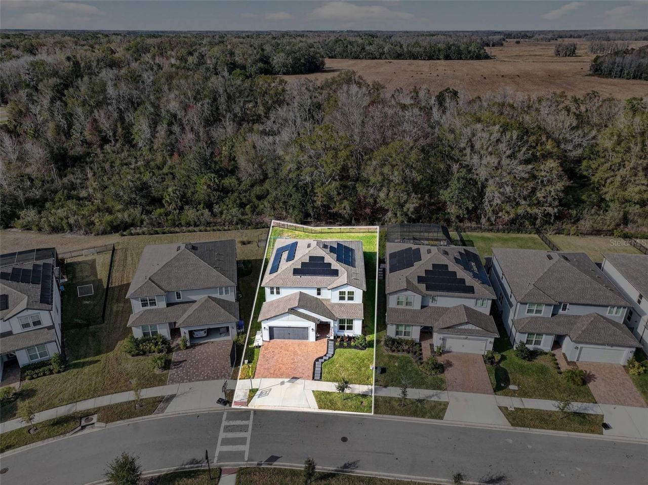 17731 Ramble On Way, Land O Lakes, FL 34638 Photo