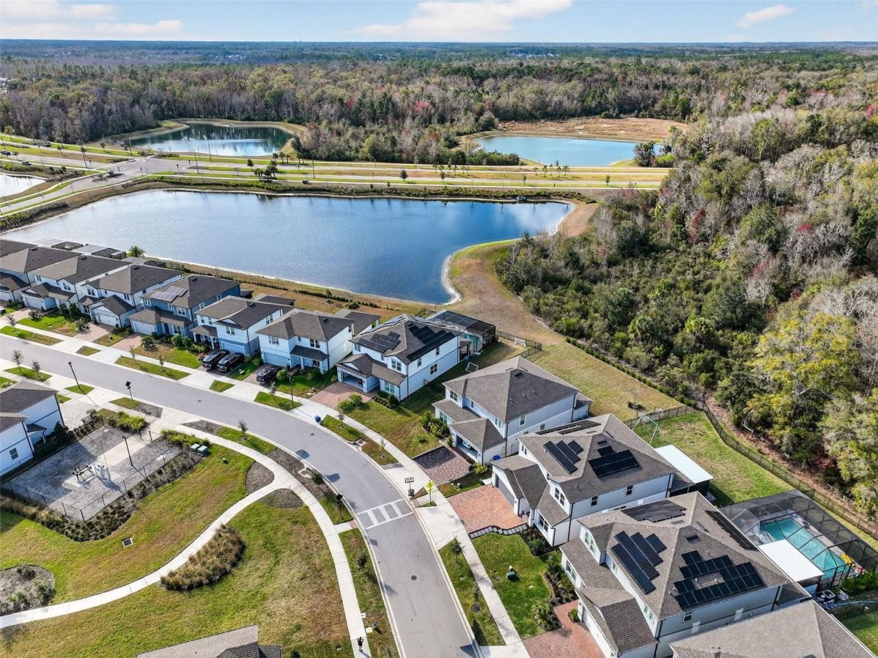 17731 Ramble On Way, Land O Lakes, FL 34638 Photo