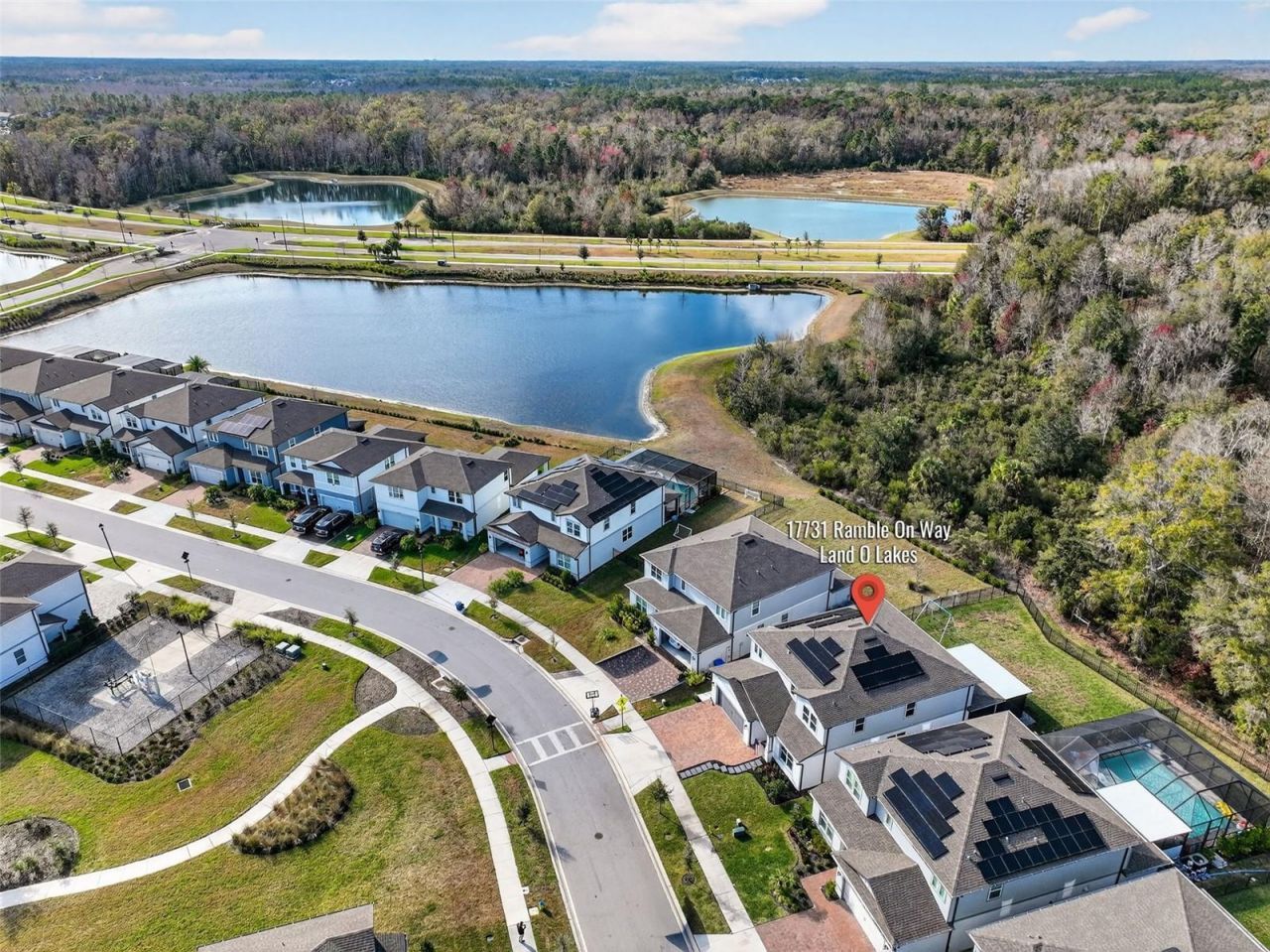 17731 Ramble On Way, Land O Lakes, FL 34638 Photo