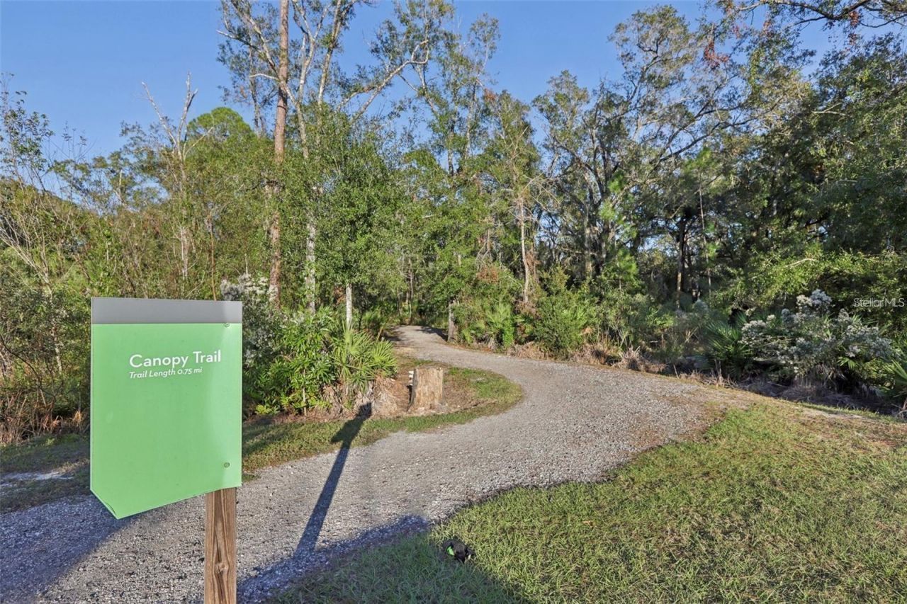 17731 Ramble On Way, Land O Lakes, FL 34638 Photo