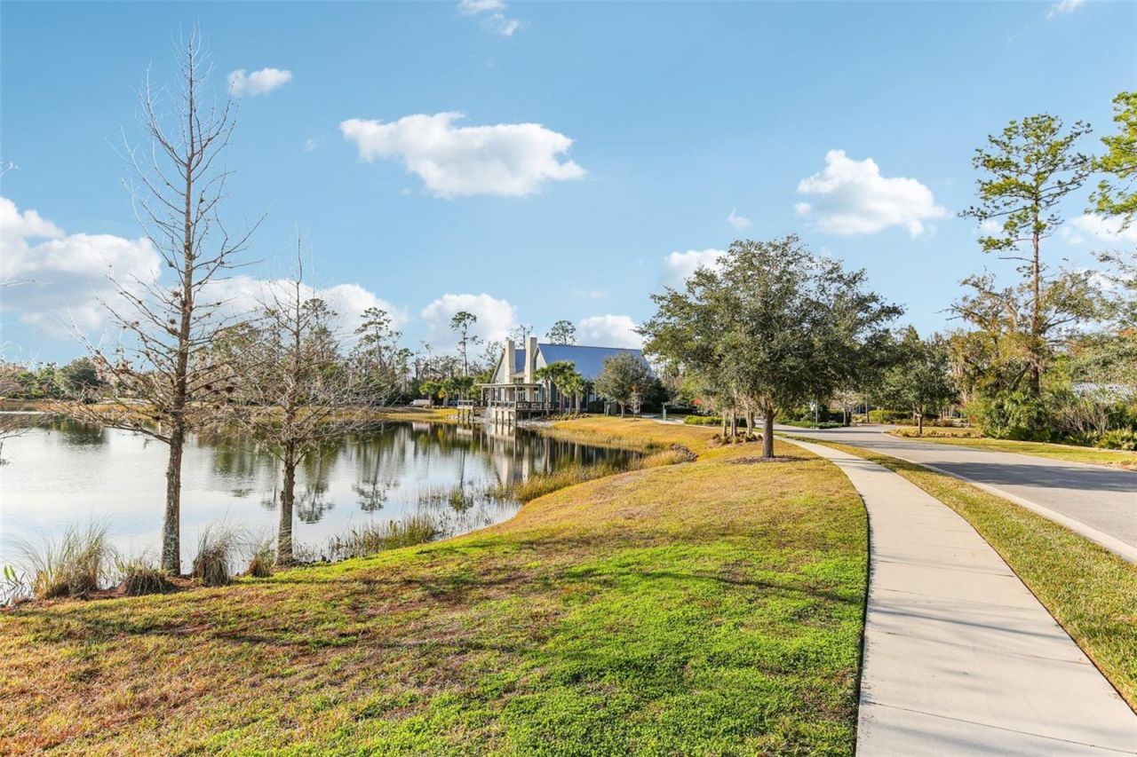 17731 Ramble On Way, Land O Lakes, FL 34638 Photo