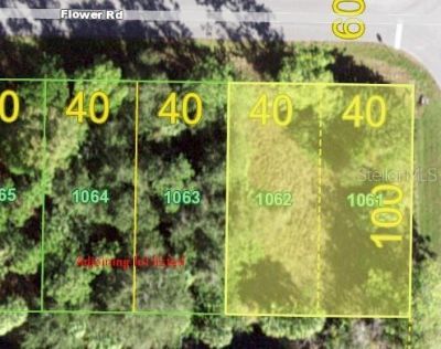 26153 Flower Road, Punta Gorda, FL 33955 Photo