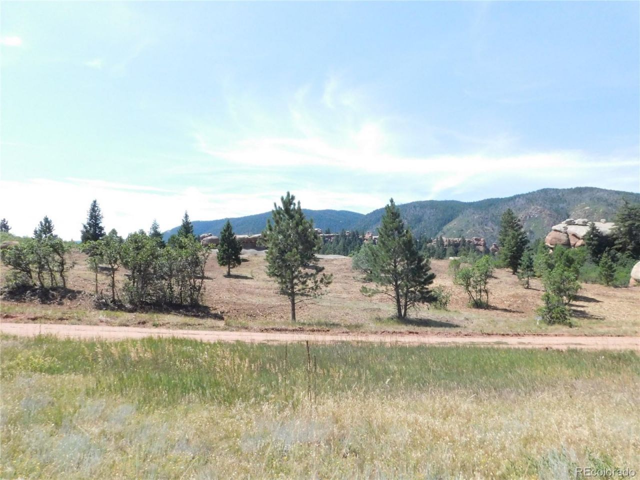 6382 Country Club Drive, Larkspur, CO 80118 Main Photo