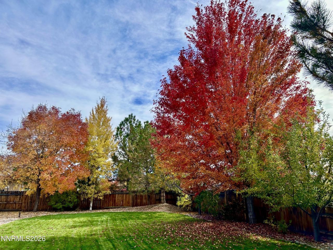 2878 Del Mar Drive, Minden, NV 89423 Photo