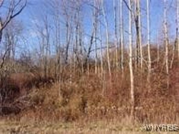 5338 Bryant Hill Road, Ellicottville, NY 14731