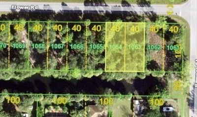 26145 Flower Road, Punta Gorda, FL 33955 Photo