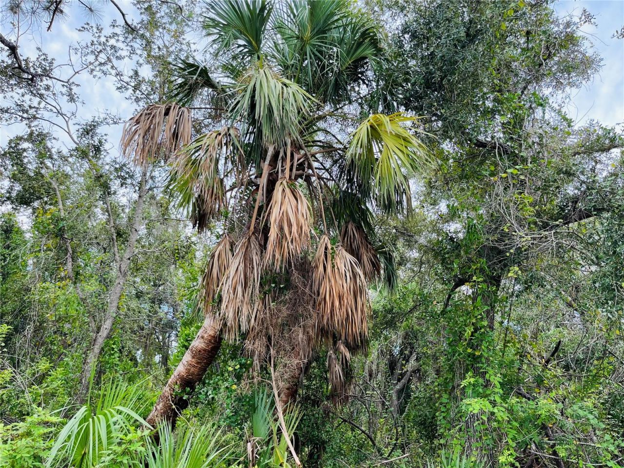 26145 Flower Road, Punta Gorda, FL 33955 Photo