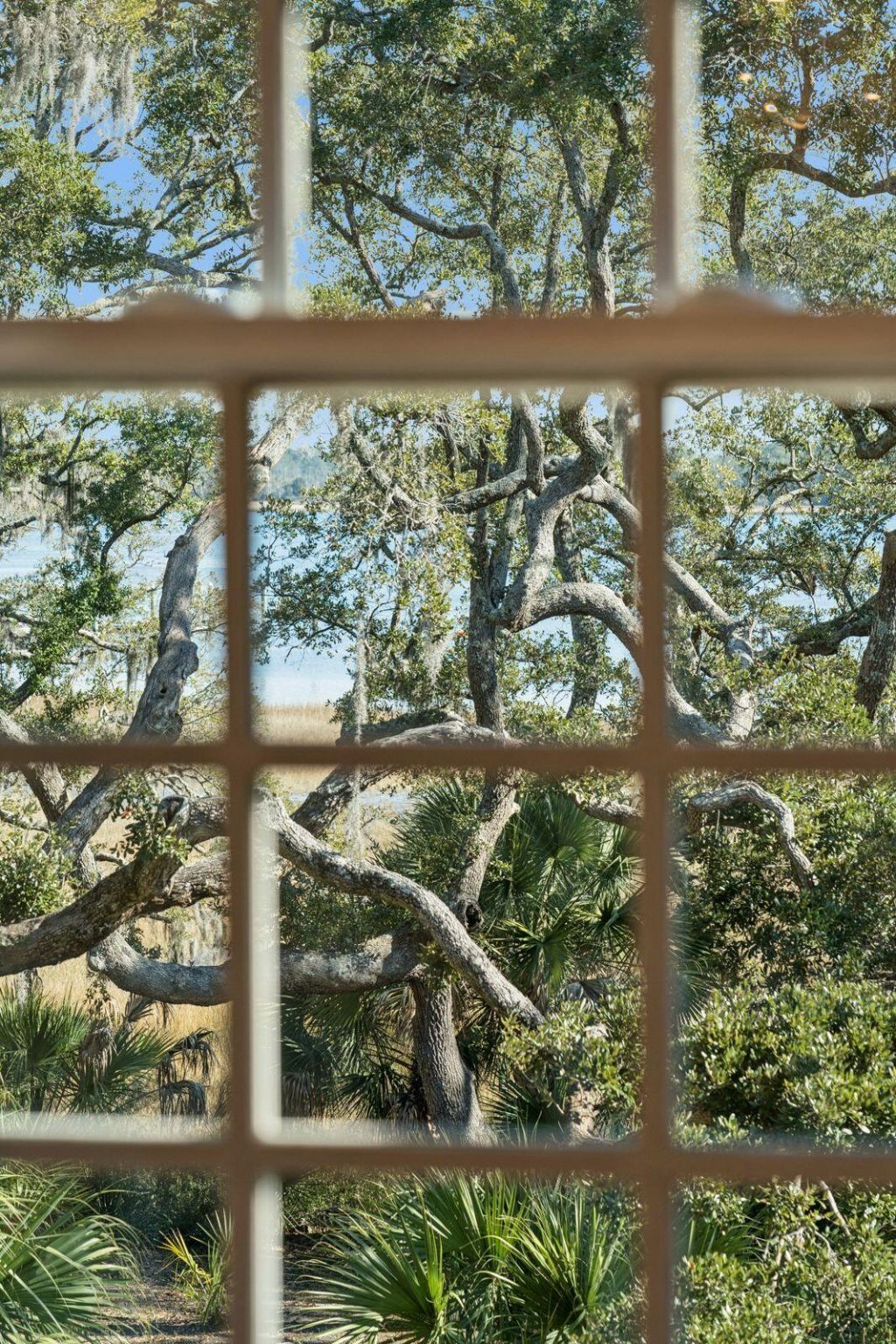 118 Fairbanks Oak Alley Photo 22