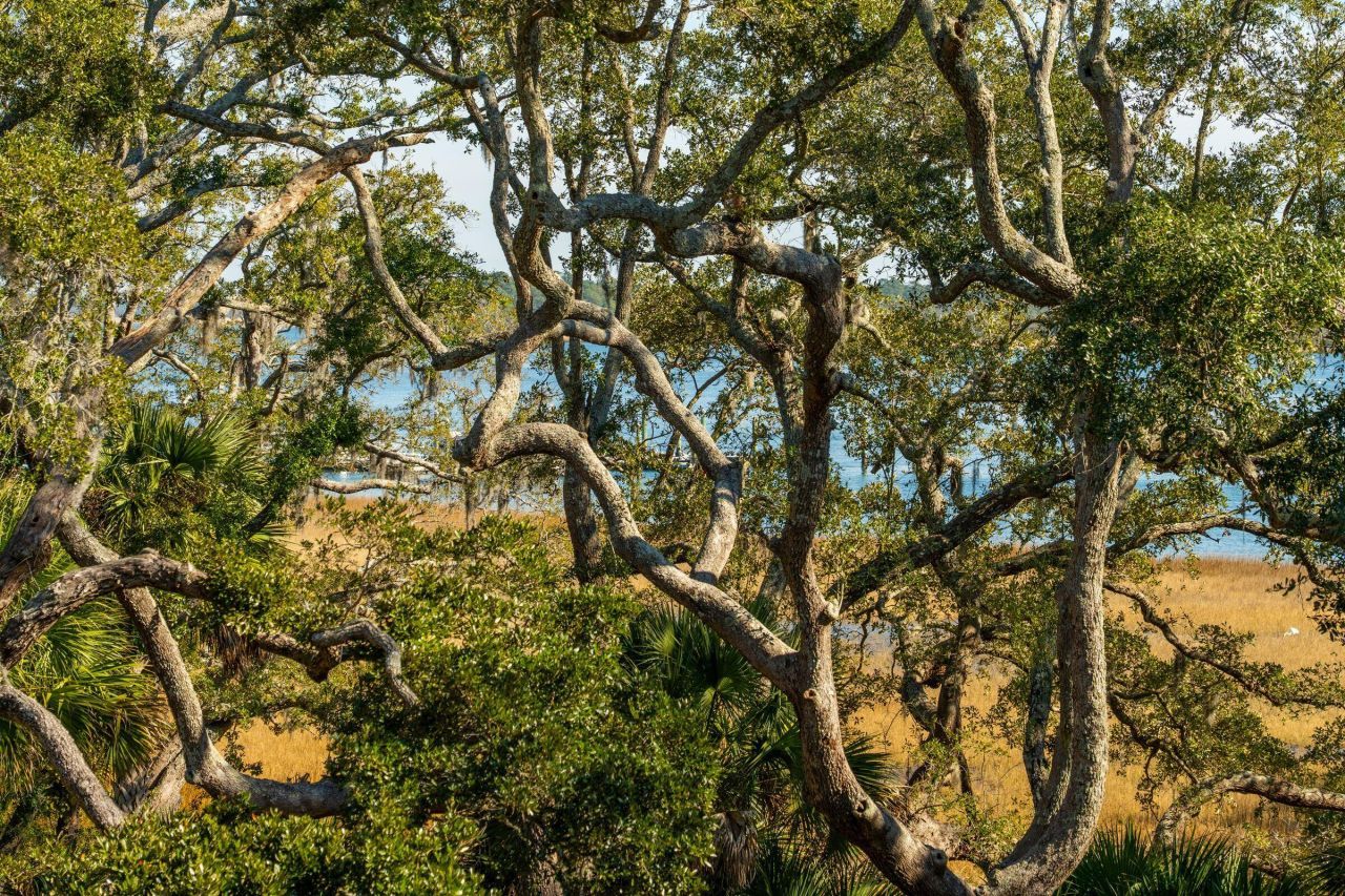 118 Fairbanks Oak Alley Photo 23