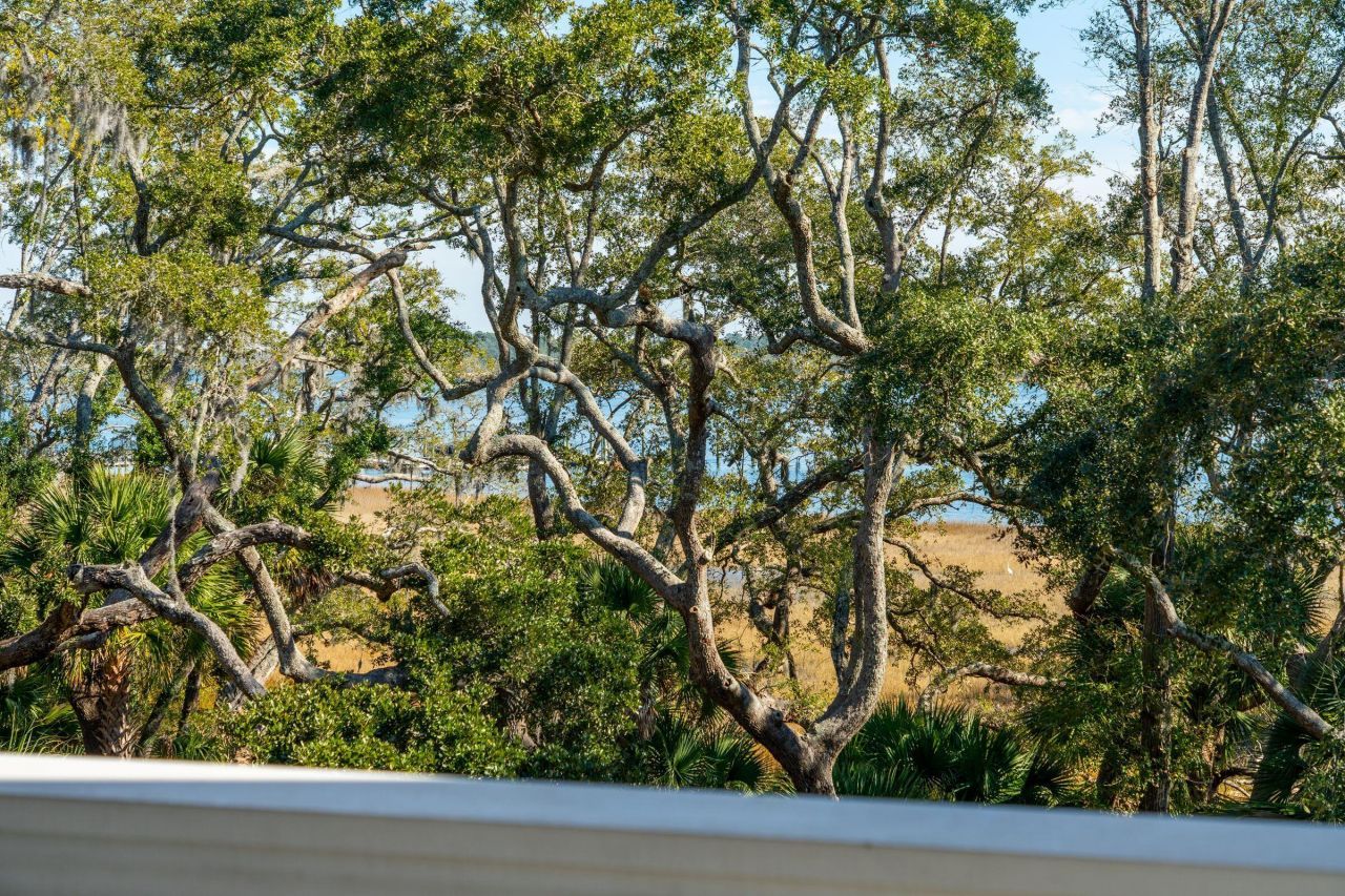 118 Fairbanks Oak Alley Photo 24