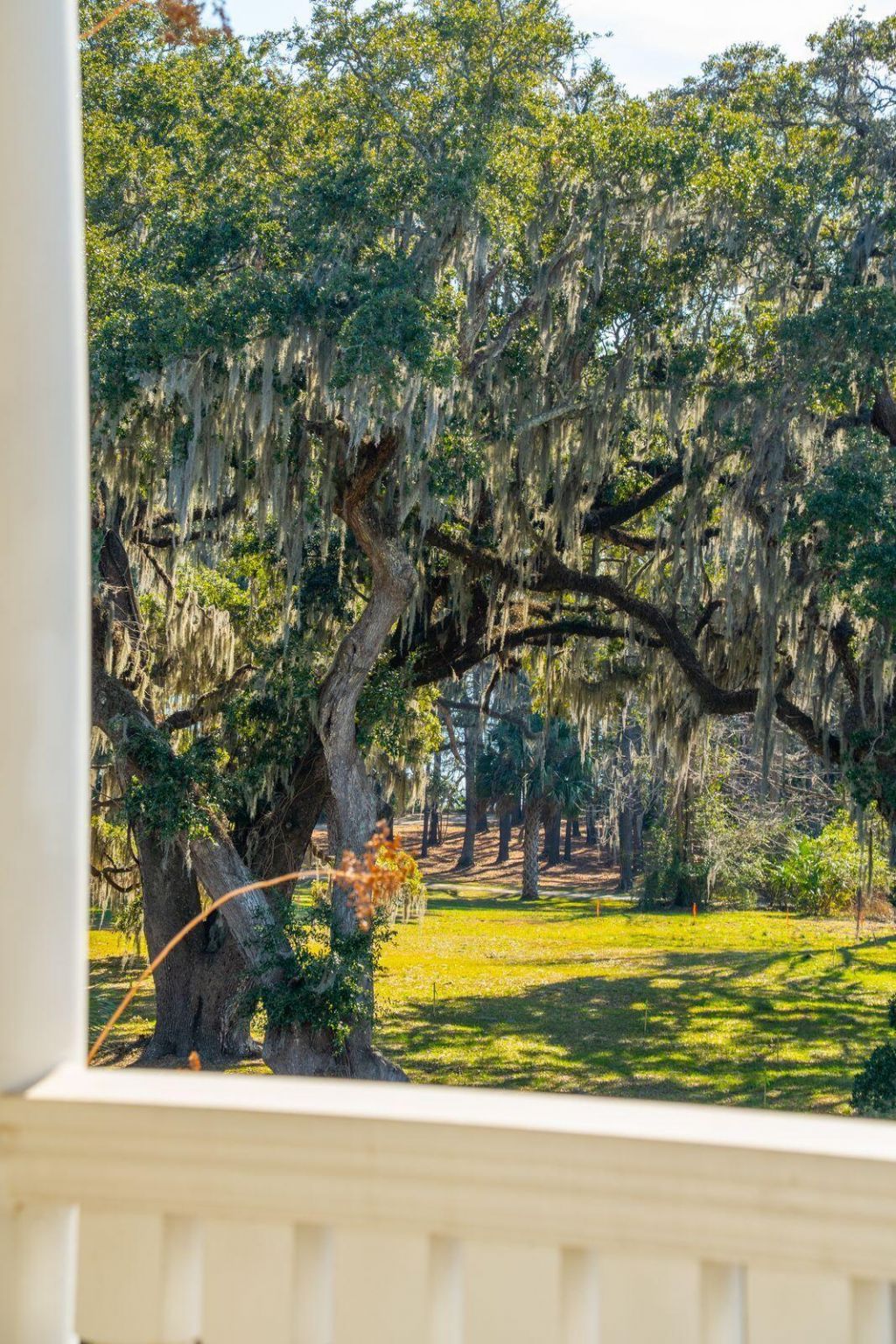 118 Fairbanks Oak Alley Photo 34