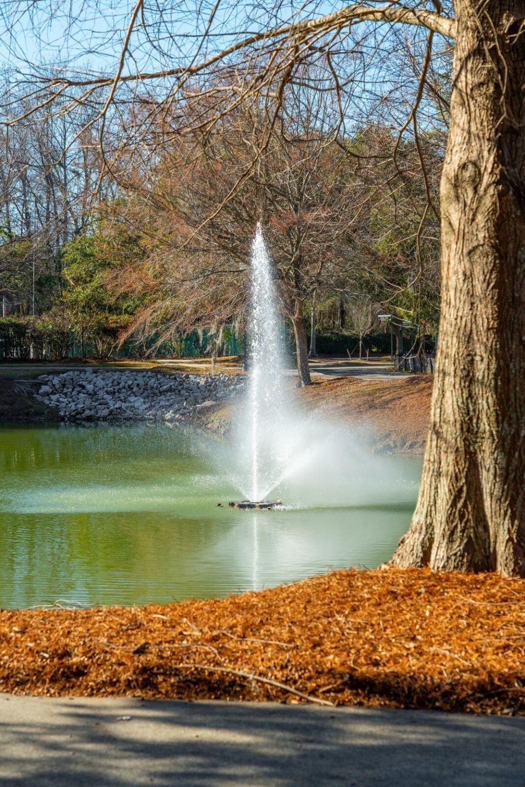 118 Fairbanks Oak Alley Photo 60