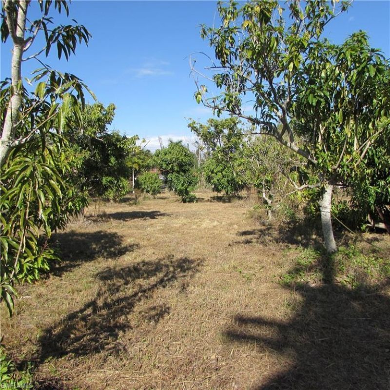 8390 Stringfellow Rd , Saint James City, FL 33956 Photo