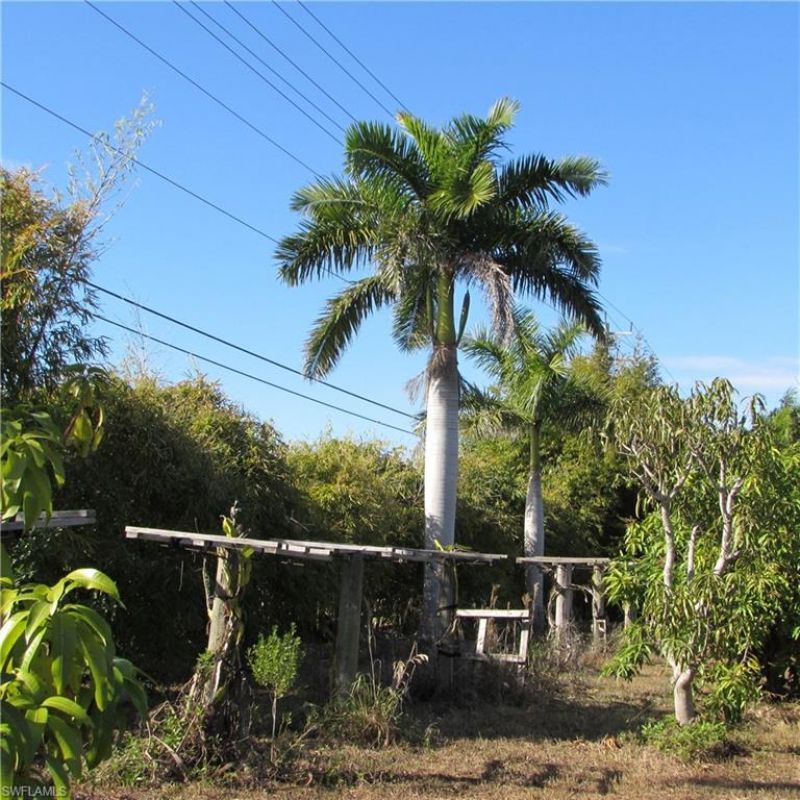 8390 Stringfellow Rd , Saint James City, FL 33956 Photo