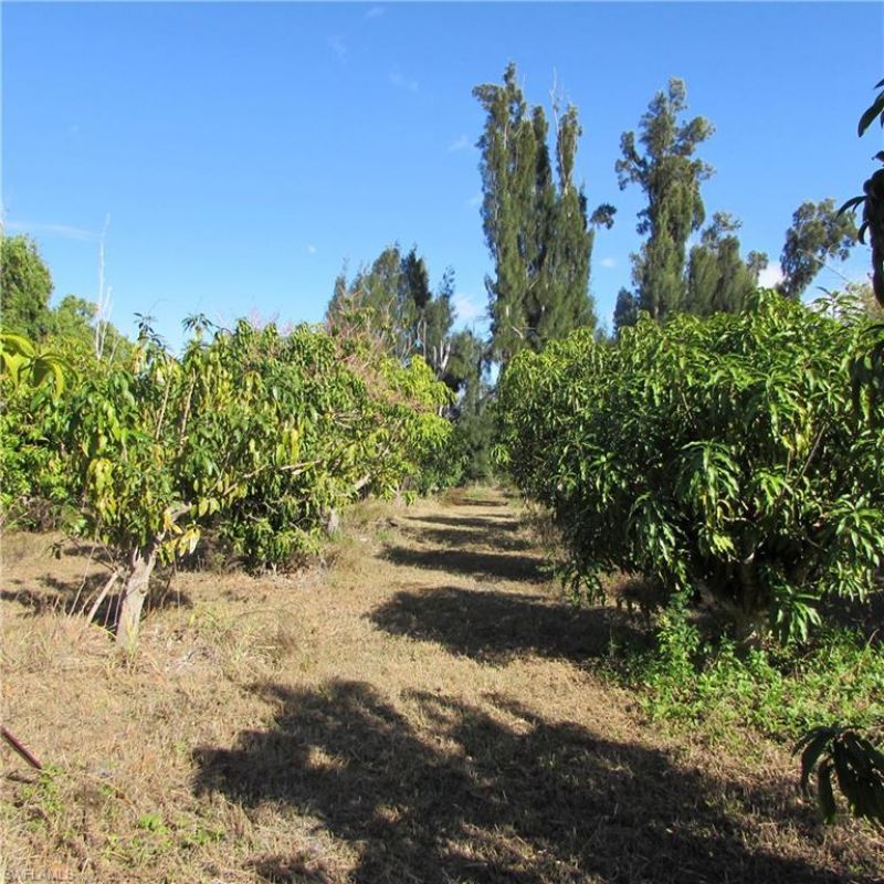 8390 Stringfellow Rd , Saint James City, FL 33956 Photo