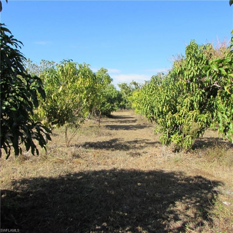 8390 Stringfellow Rd , Saint James City, FL 33956 Photo