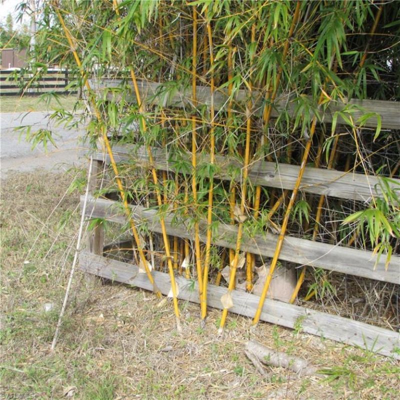 8390 Stringfellow Rd , Saint James City, FL 33956 Photo