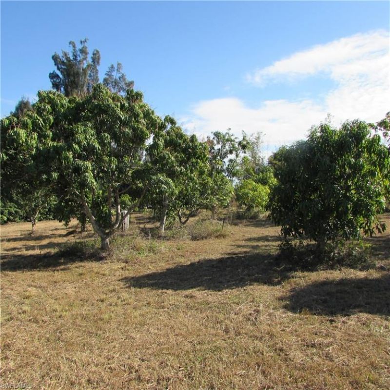 8390 Stringfellow Rd , Saint James City, FL 33956 Photo