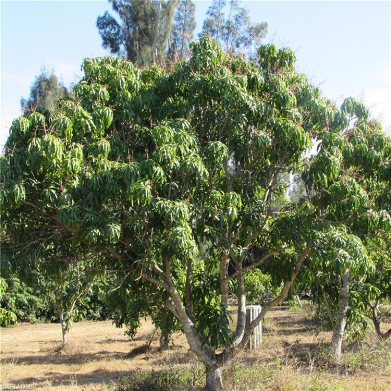 8390 Stringfellow Rd , Saint James City, FL 33956 Photo