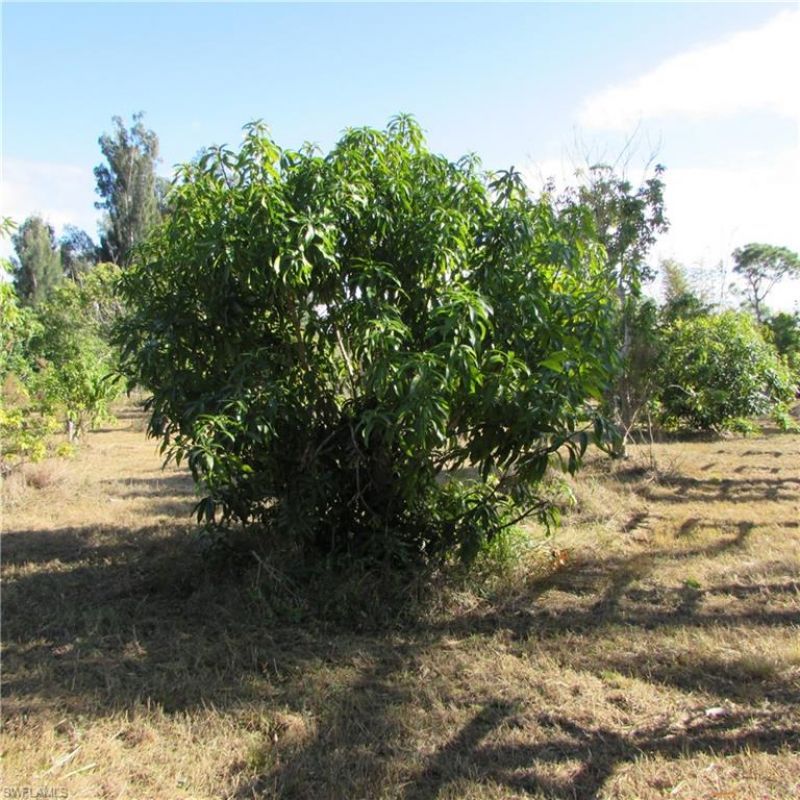 8390 Stringfellow Rd , Saint James City, FL 33956 Photo