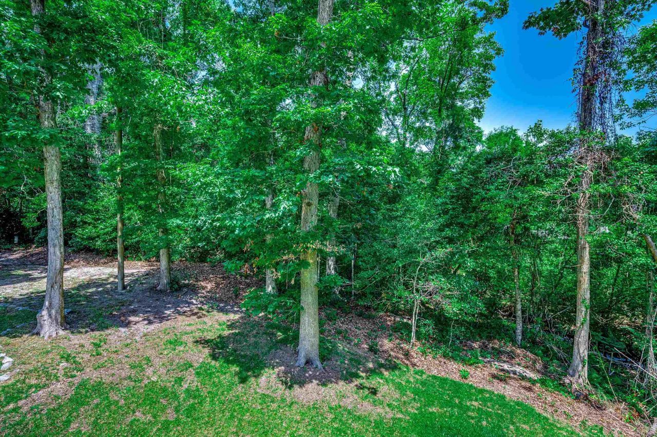 1673 Carriage Ln. Photo 35