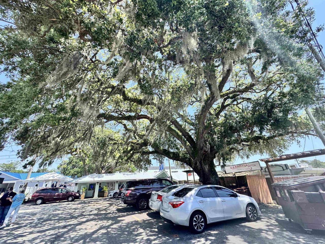 1673 Carriage Ln. Photo 45