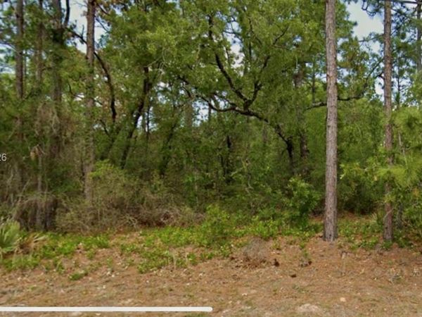 8550 N N Citrus Springs Blvd, Dunnellon, FL 34434