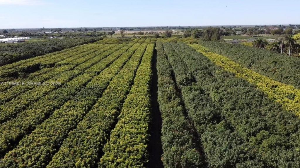 22020 SW 207th Ave , Miami, FL 33170 Photo