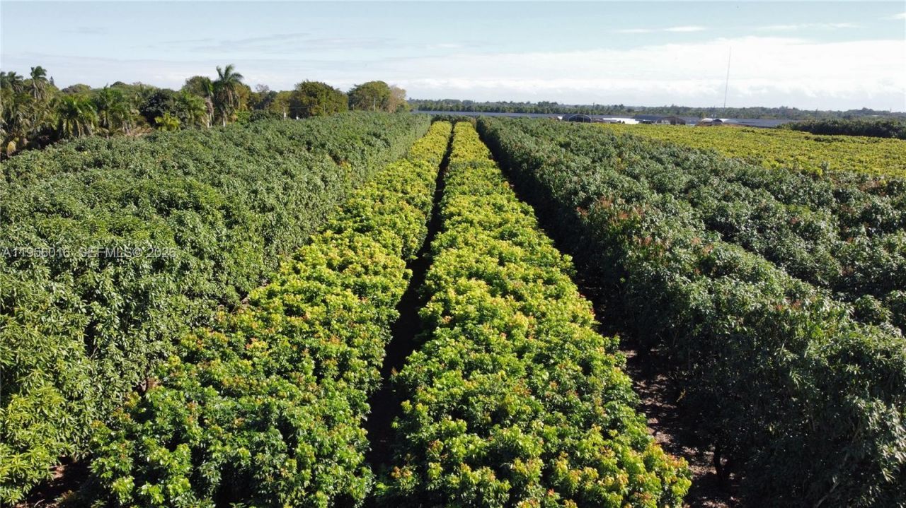 22020 SW 207th Ave , Miami, FL 33170 Photo