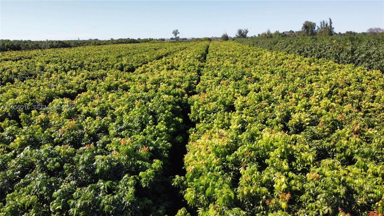 22020 SW 207th Ave , Miami, FL 33170 Photo