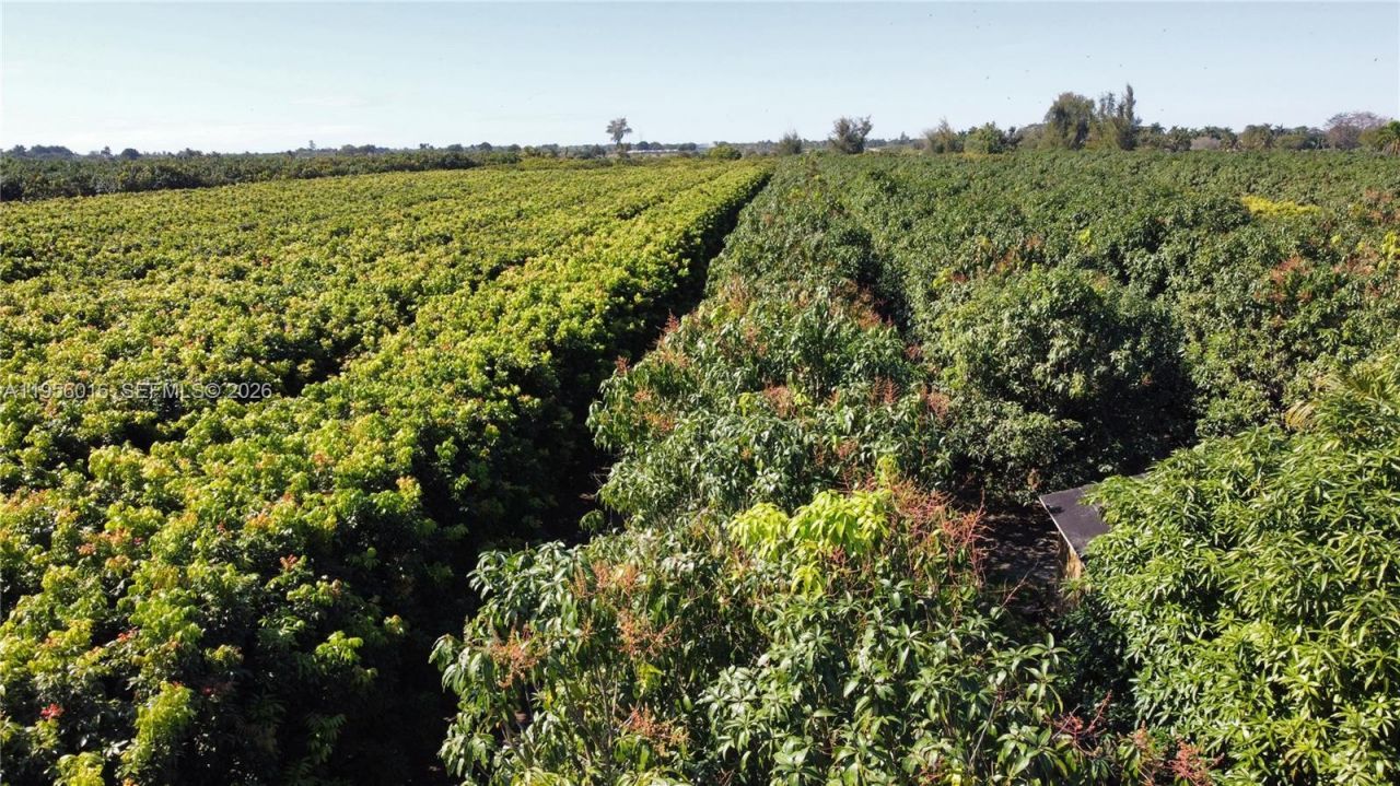 22020 SW 207th Ave , Miami, FL 33170 Photo