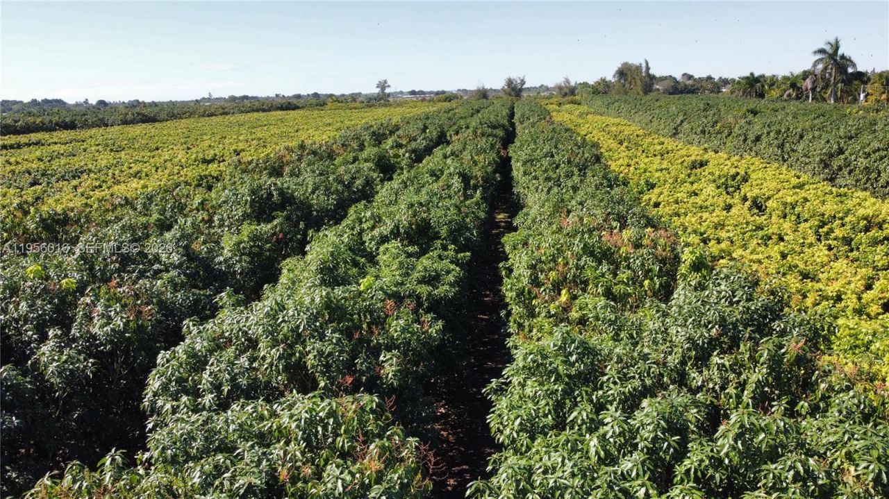 22020 SW 207th Ave , Miami, FL 33170 Photo