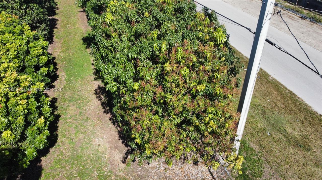 22020 SW 207th Ave , Miami, FL 33170 Photo