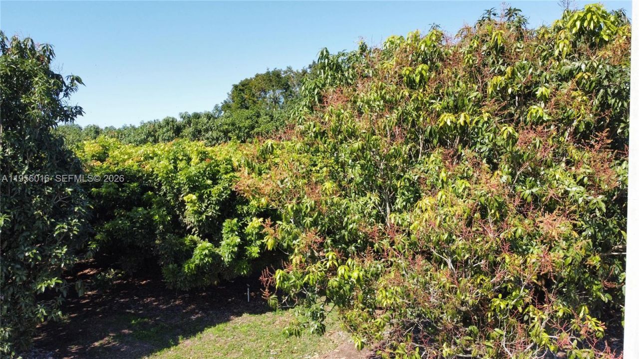 22020 SW 207th Ave , Miami, FL 33170 Photo