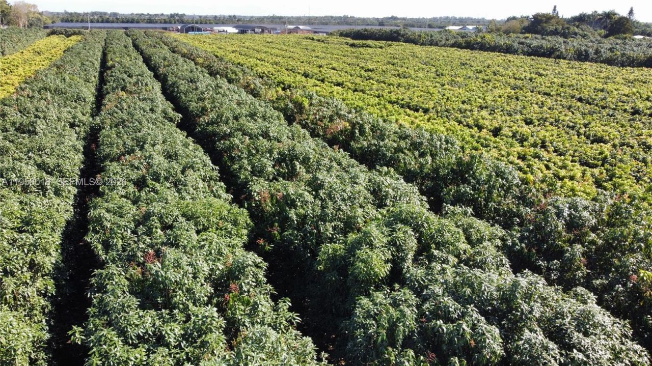 22020 SW 207th Ave , Miami, FL 33170 Photo