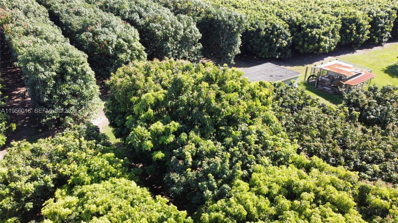 22020 SW 207th Ave , Miami, FL 33170 Photo