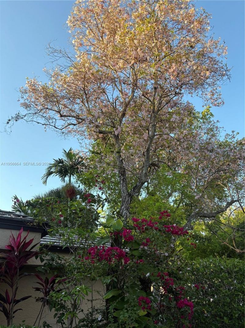 9360 S Chelsea Dr S, Plantation, FL 33324 Photo