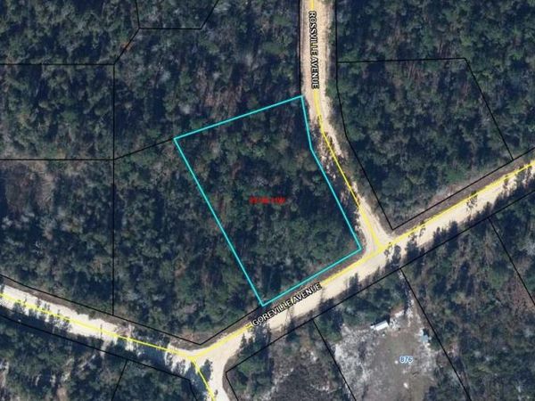 0000 GOREVILLE AVE ALFORD, Alford, FL 32420