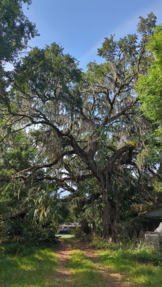 1532 W C 476, Bushnell, FL 33513 Photo