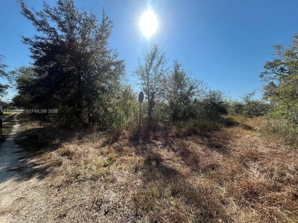 755 lynbrook, Lake Placid, FL 33852