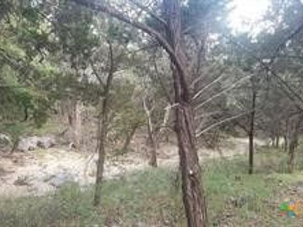 603 Copper Trace , New Braunfels, TX 78132