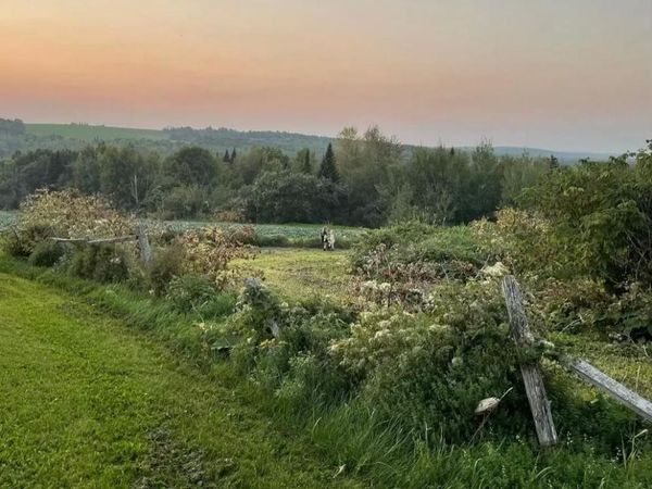 M8-L16 Grendell Road , Chapman, ME 04757