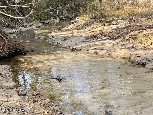 3373 W Highway 24, Woodville, MS 39669 Main Photo