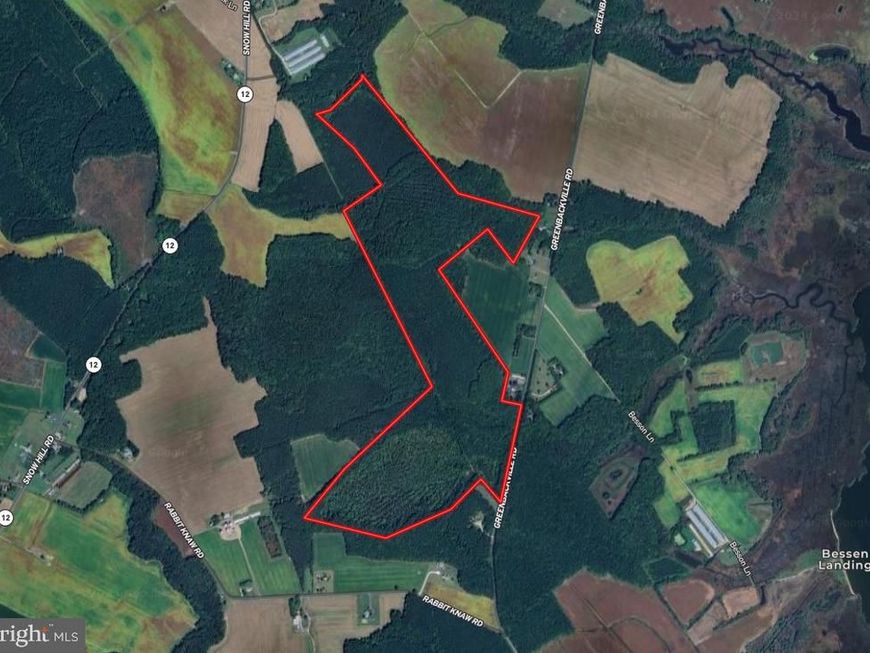 0 Greenbackville Road, Stockton, MD 21864 Main Photo