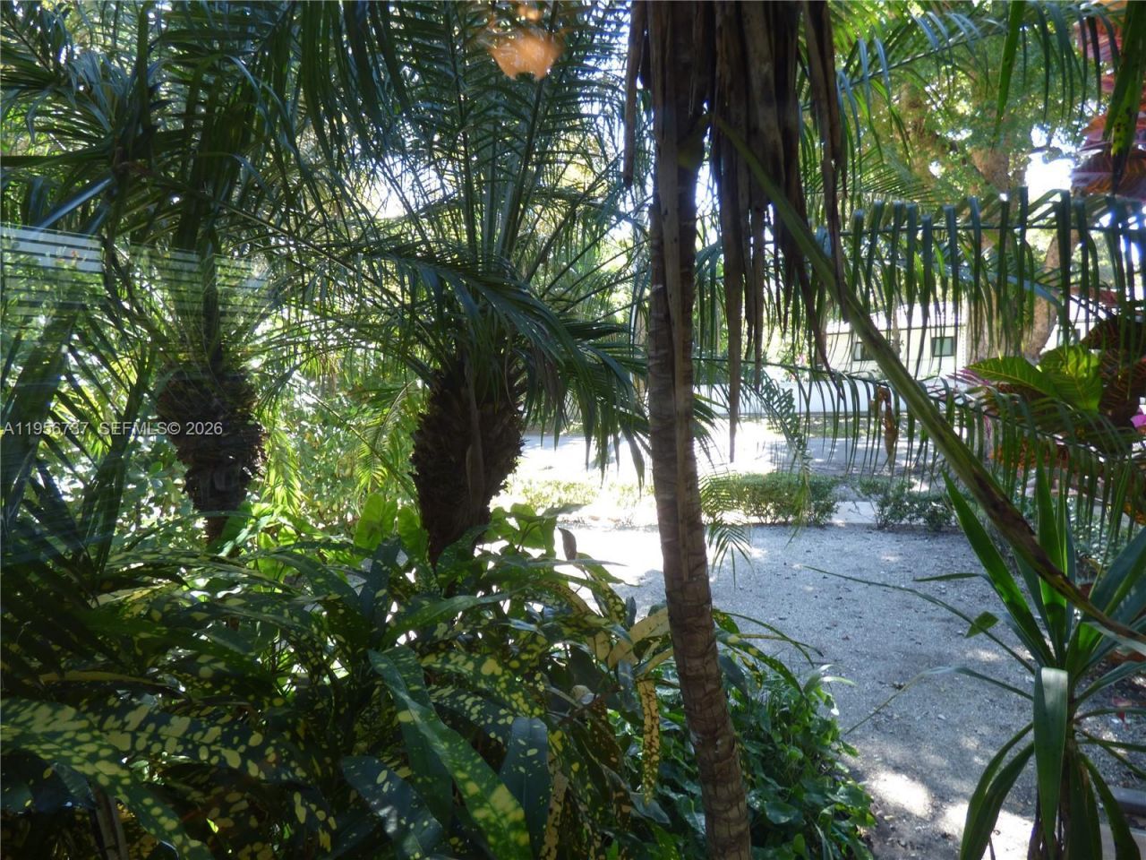 409 Marmore Ave, Coral Gables, FL 33146 Photo