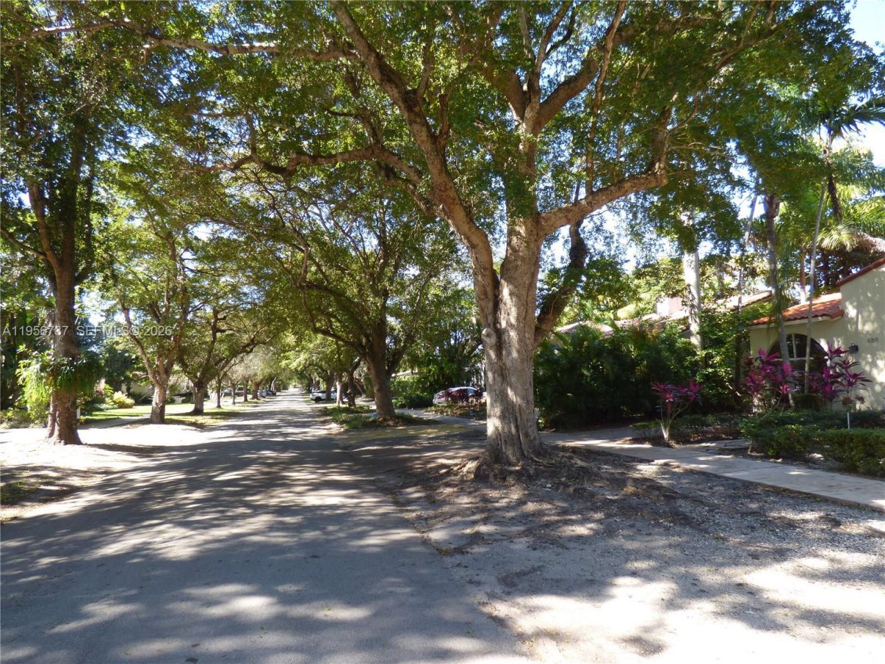 409 Marmore Ave, Coral Gables, FL 33146 Photo