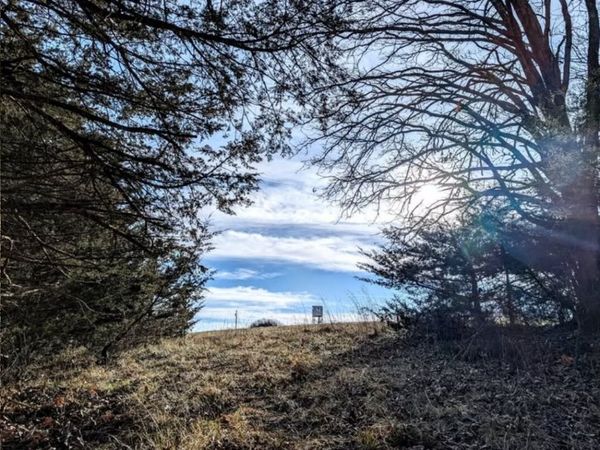 1475 - Lot 2 325th Street, Woodward, IA 50276