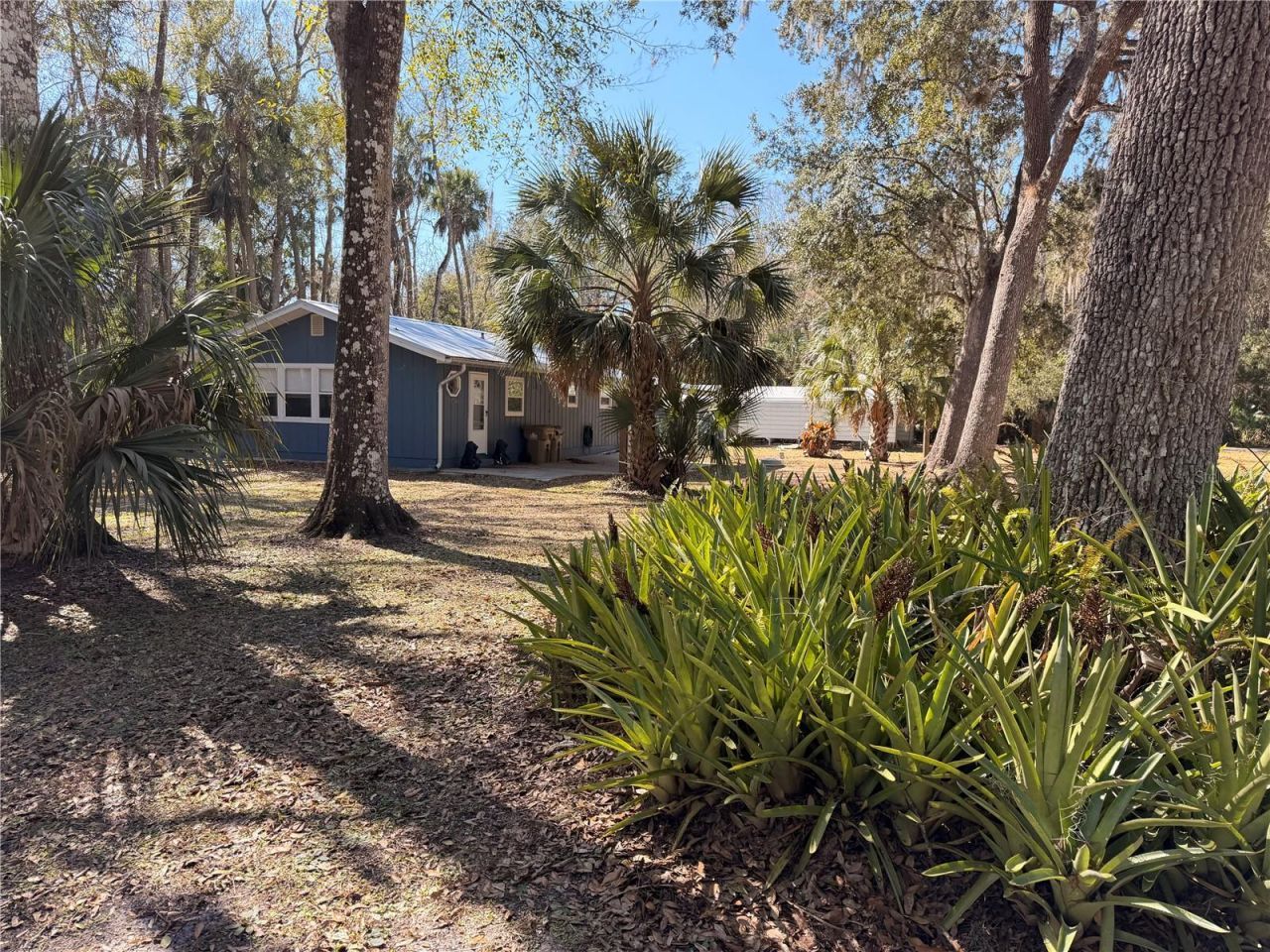 53706 Rivertrace Road, Astor, FL 32102 Photo