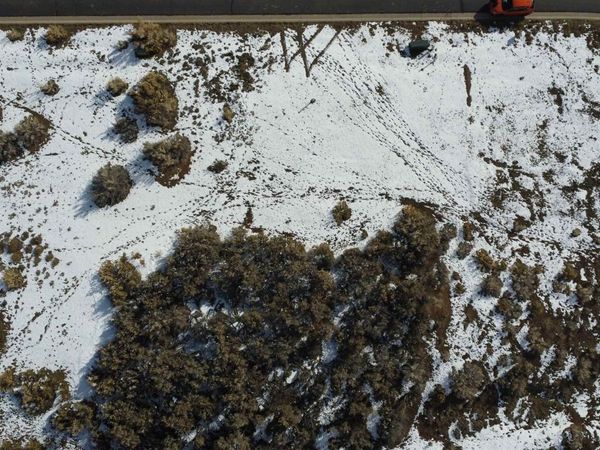 740 SE Pinyon Street , Cedaredge, CO 81413